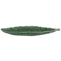 NARROW PLATE LEAF-SHAPED, CABBAGE