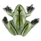 MAGNET MINIATURE FROG