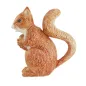 SQUIRREL PITCHER