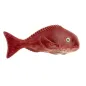 RED PORGY