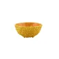 SALAD BOWL 16,5 CM, AMAZONIA