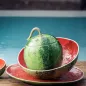 SOUP BOWL - 4 L, WATERMELON