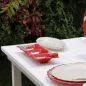 APPETIZERS TRAY - 40,5 CM, RED