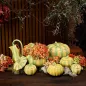 Pumpkin - Tureen 4,3L