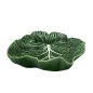 Cabbage - Natural Colour Concave Leaf 26