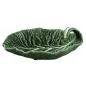 Cabbage - Natural Colour Leaf 25 wih Curvuture