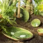 Tropical Fruits - Dessert Plate Kiwi